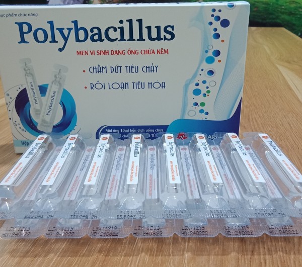 Men vi sinh dạng ống chứa kẽm POLYBACILLUS chấm dứt tiêu chảy và rối loạn tiêu hóa ( hộp 15 ống )