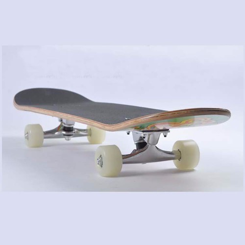 Ván trượt skateboard loại lớn