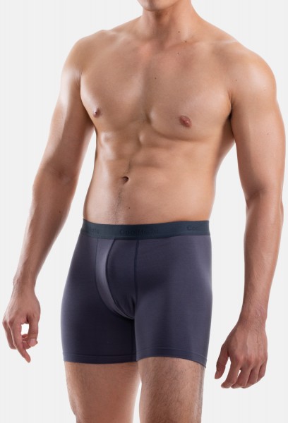 Combo 03 Quần lót nam Brief Boxer Modal (gỗ sồi) mềm mại