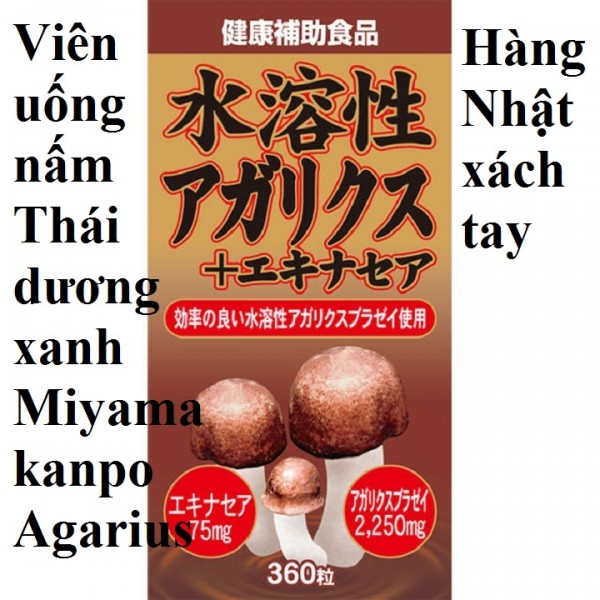 Nấm thái dương Agaricus chiết xuất Beta glucan và hoa cúc Echinacea Nhật bản 360v Phòng ung thư tăng cường hệ miễn dịch